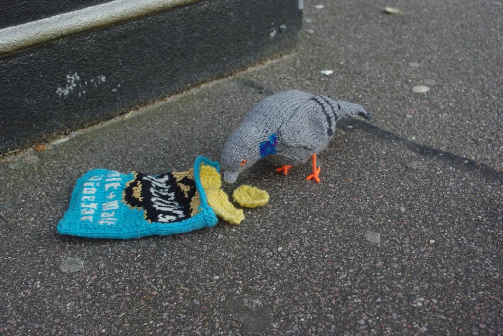 Pigeon Eating